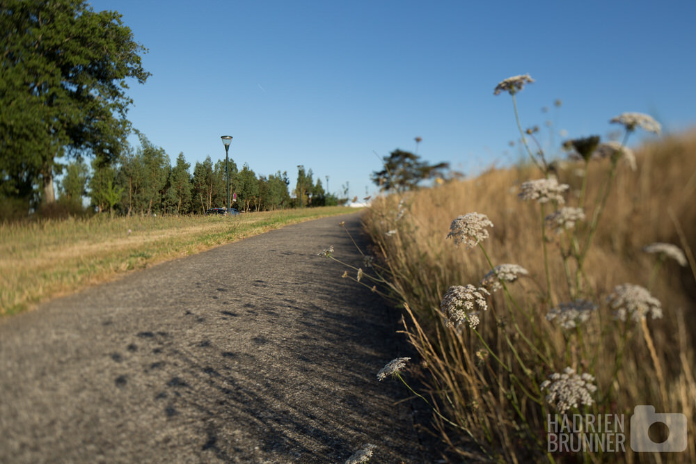 photo-zac-armor-saint-herblain