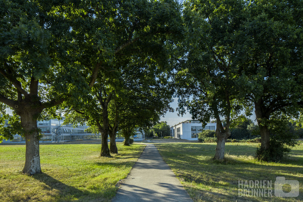 reportage-photo-parc-armor-saint-herblain